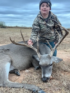 Whitetail